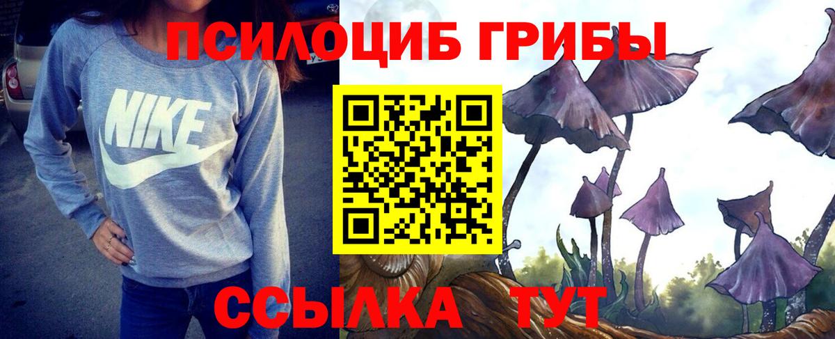 Псилоцибиновые грибы Psilocybe  Псилоцибиновые грибы Cubensis  Вход с VPN  Похвистнево 